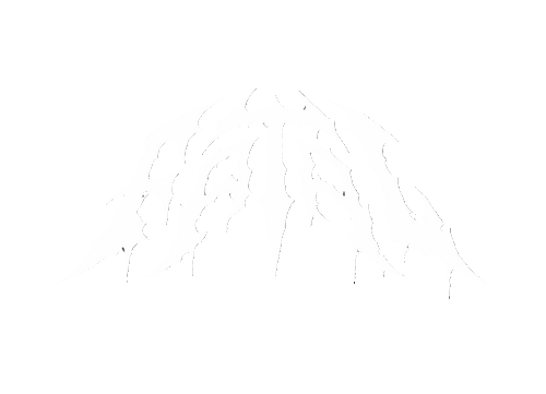 FATAL FIGHTWEAR